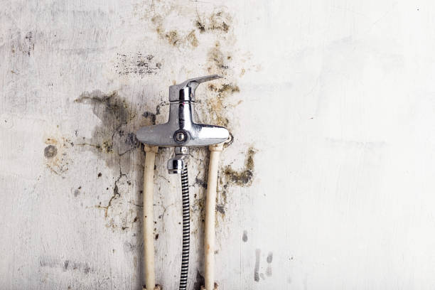 Best Post-Flood Mold Remediation in Kenmore, NY